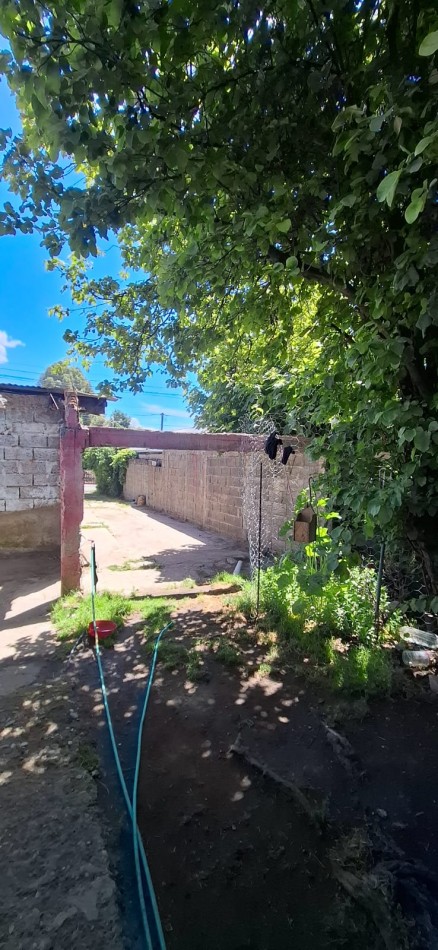 LOTE DON BOSCO: IDEAL DESARROLLO 
