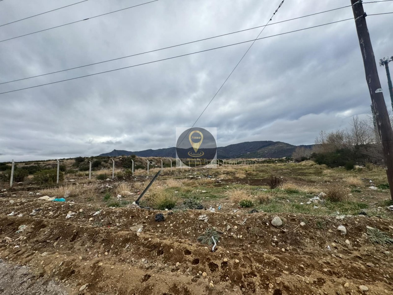LOTE 5000aprox SOBRE RUTA 40SUR