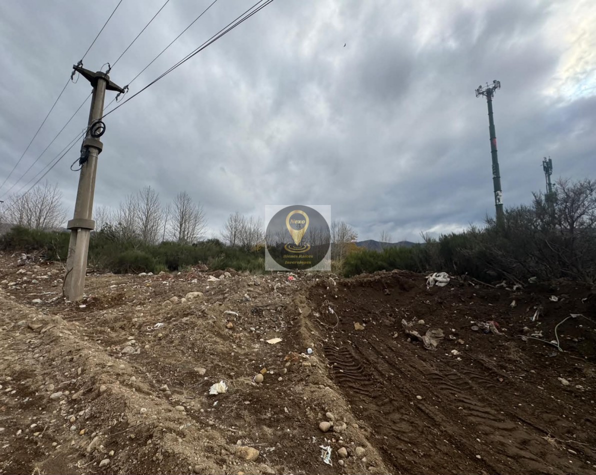 LOTE 5000aprox SOBRE RUTA 40SUR