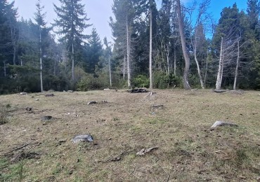 Lotes en venta Km 21