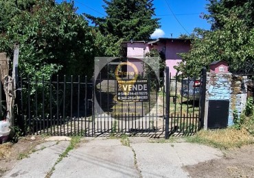 LOTE DON BOSCO: IDEAL DESARROLLO 